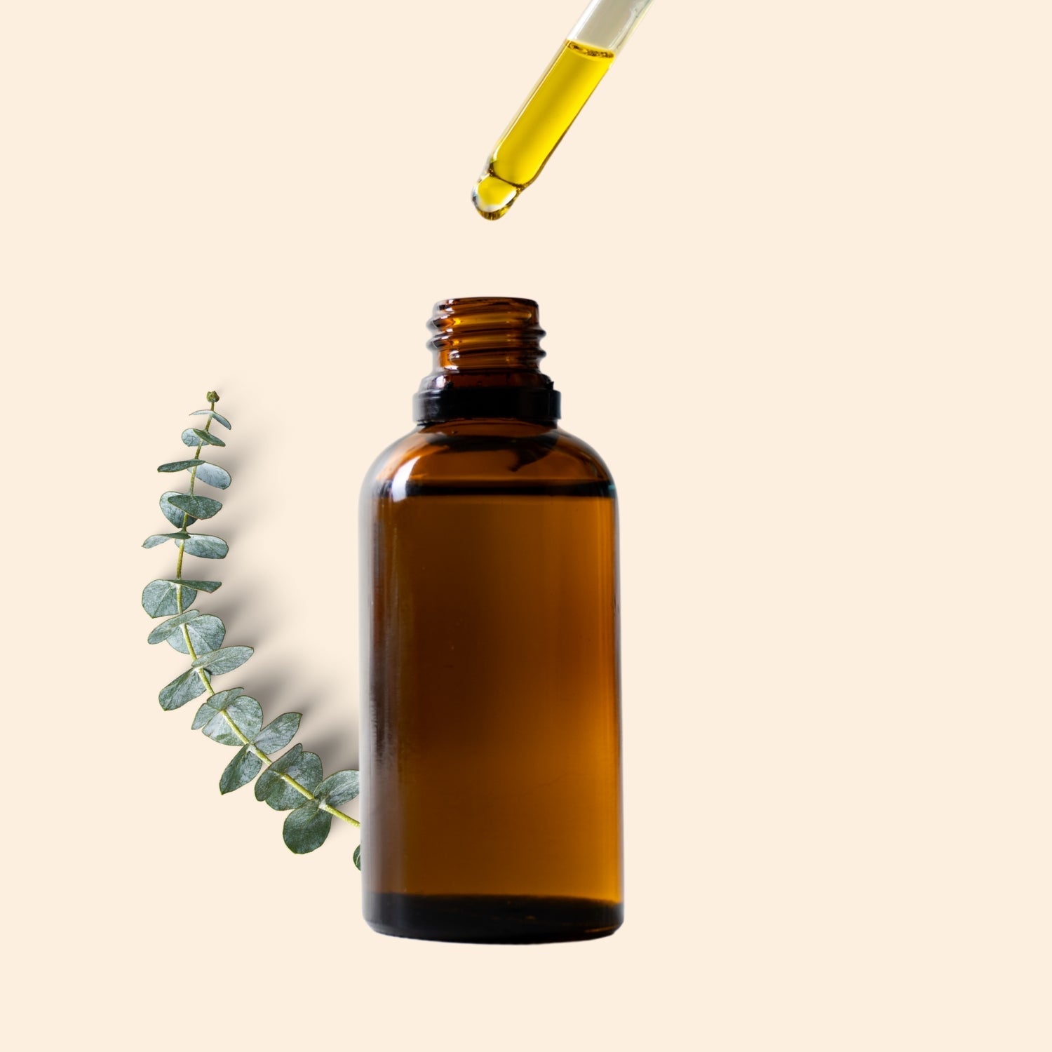 Euclyptus Hydrosol Euclyptus Hydrosol